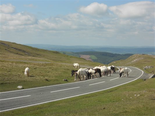 Road over the black Mountain